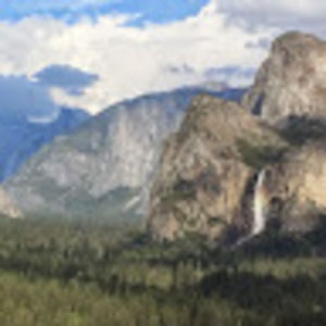 Meet your Posher, Betsy